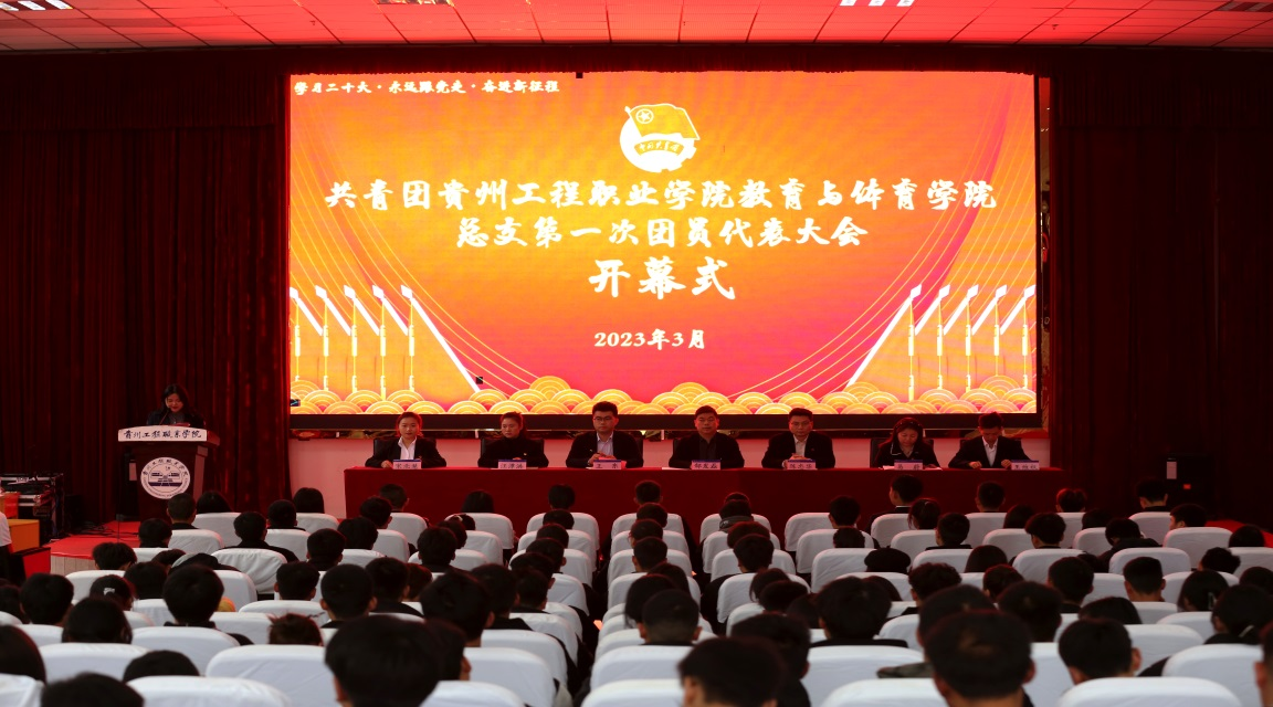 共青团大阳城游戏·(中国)官方网站教育与体育学院总支部委员会召开第一次团员代表大会(图1)
